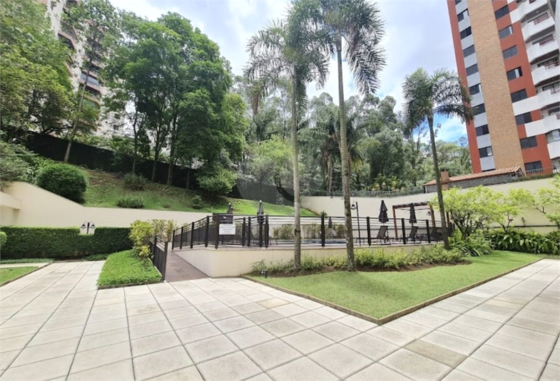 Foto REO1094462