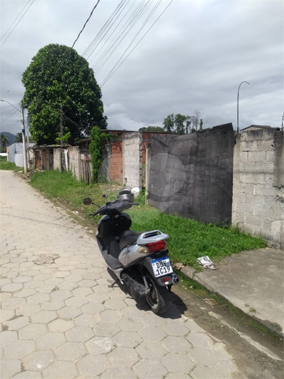 Foto REO1094463