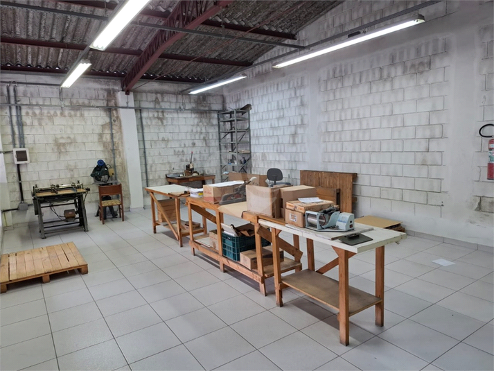 Foto REO1094468
