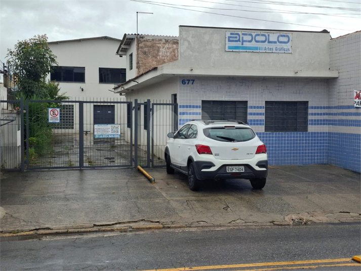 Foto REO1094468