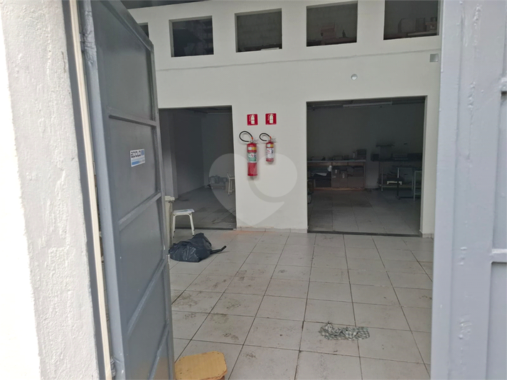 Foto REO1094468