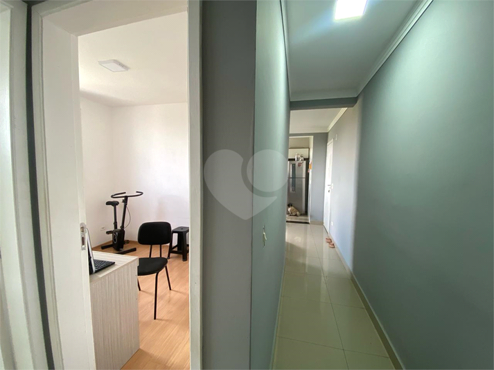 Foto REO1094469