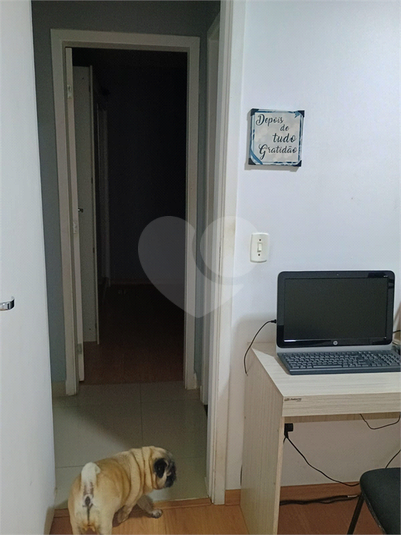Foto REO1094469