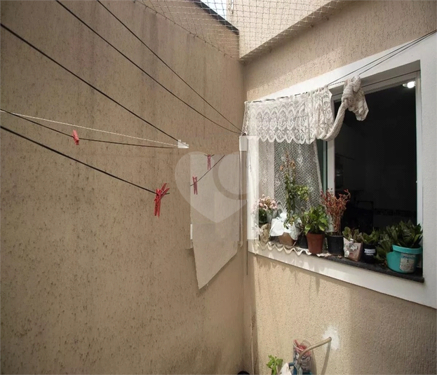 Foto REO1094478