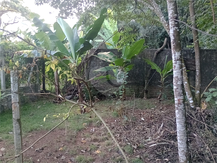 Foto REO1094482