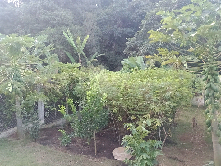 Foto REO1094482