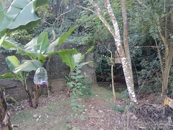 Foto REO1094482