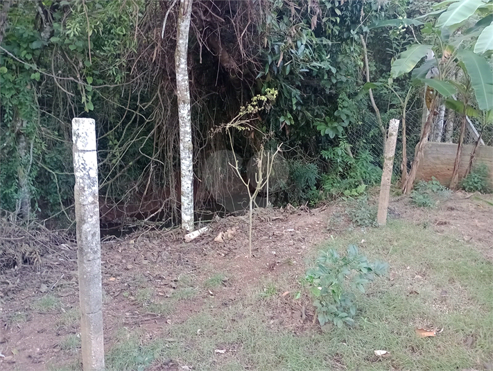 Foto REO1094482