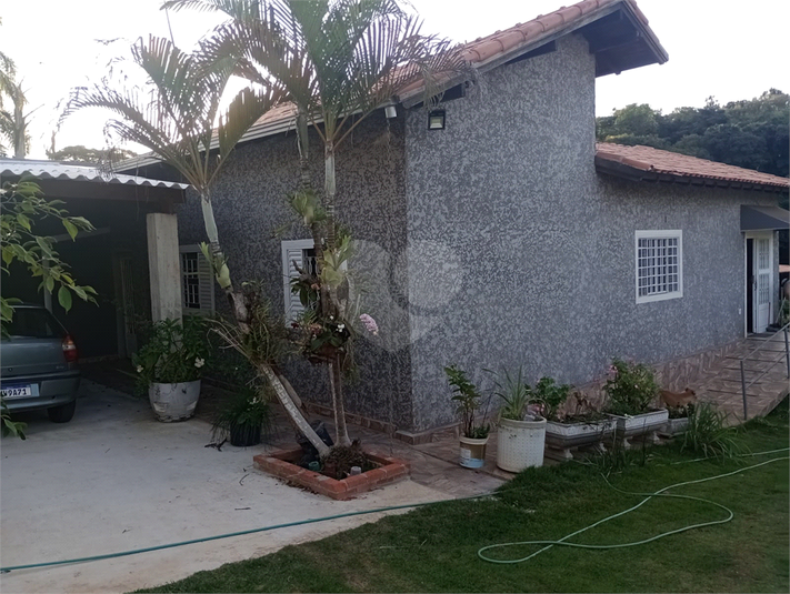 Foto REO1094482