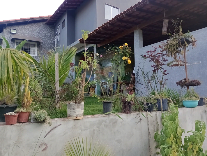 Foto REO1094482