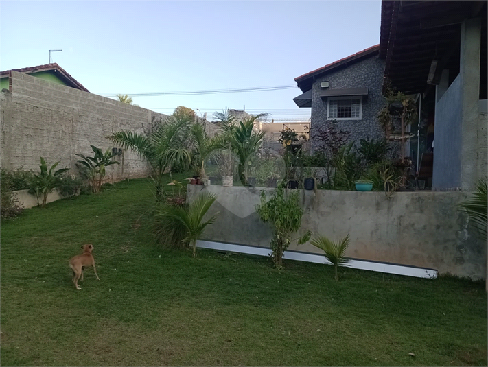 Foto REO1094482