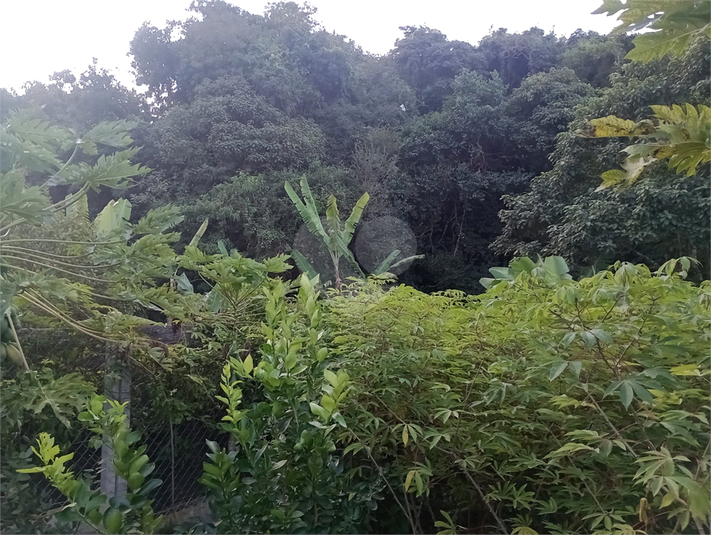 Foto REO1094482