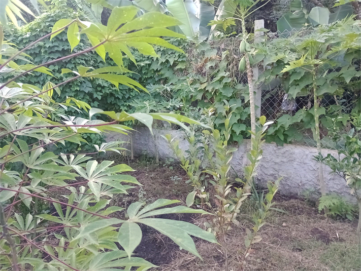 Foto REO1094482