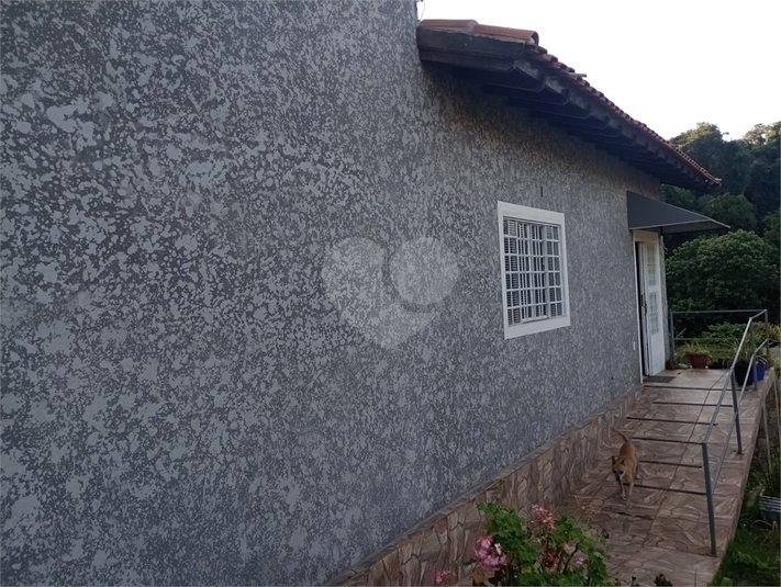 Foto REO1094482