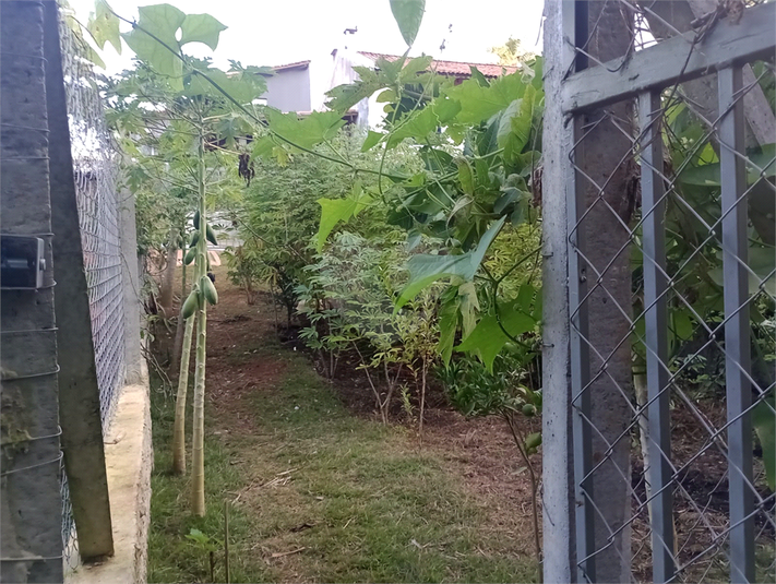 Foto REO1094482