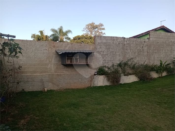 Foto REO1094482