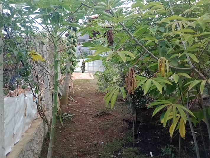 Foto REO1094482