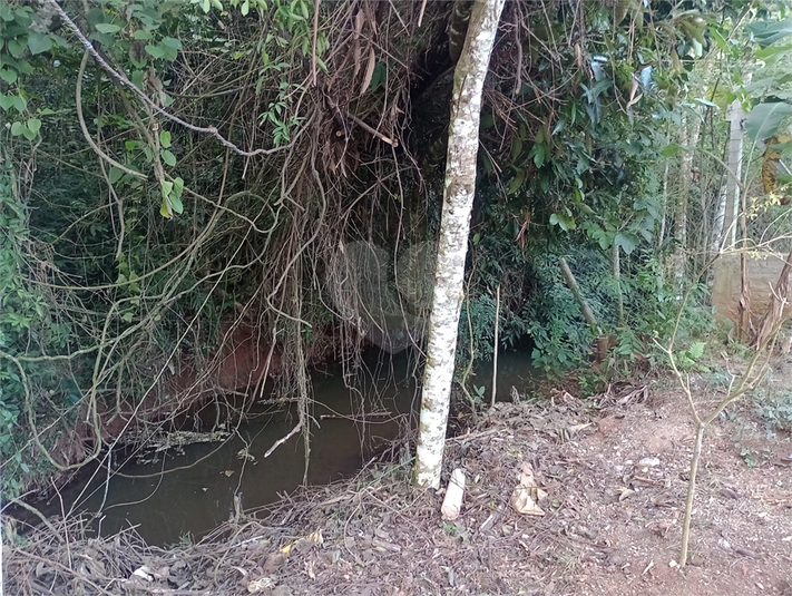 Foto REO1094482