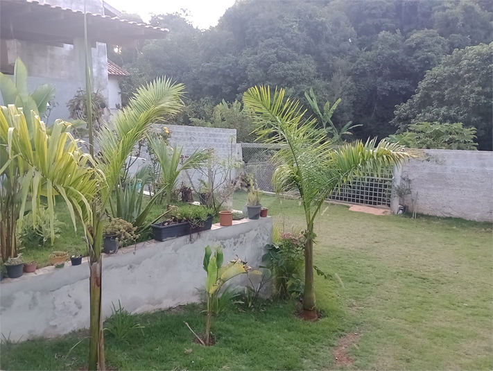 Foto REO1094482