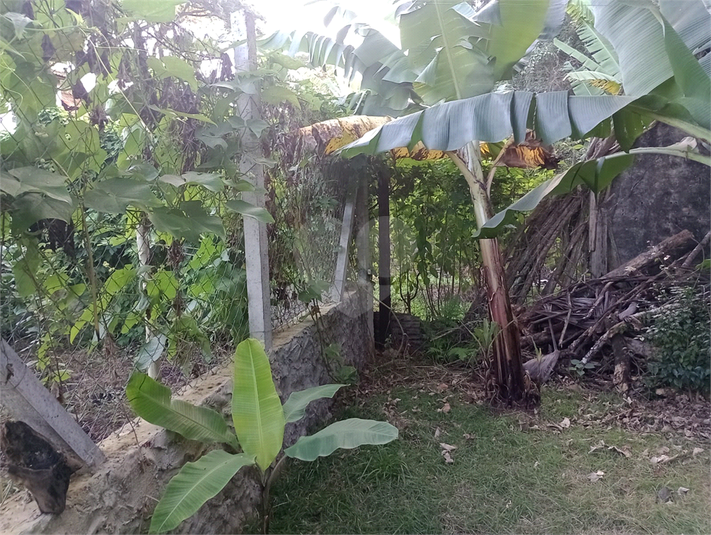 Foto REO1094482