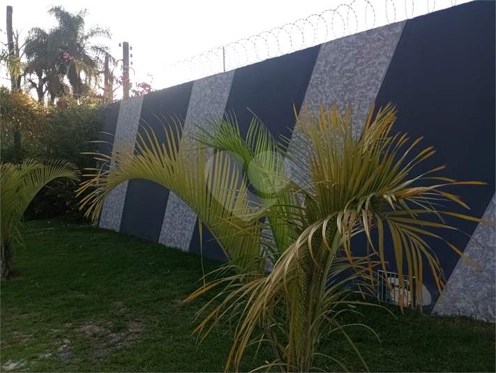 Foto REO1094482