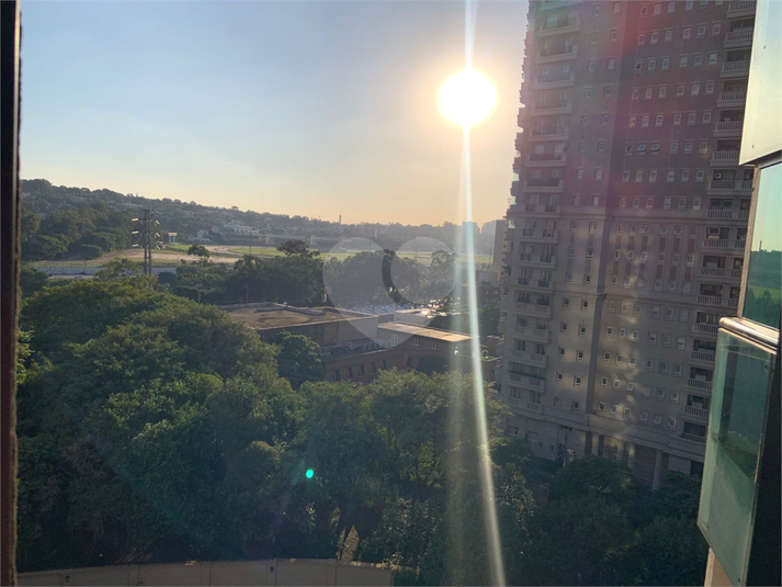 Foto REO1094485