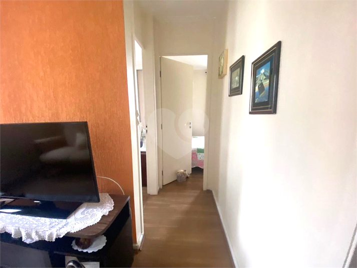 Foto REO1094494