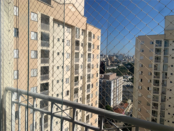 Foto REO1094495