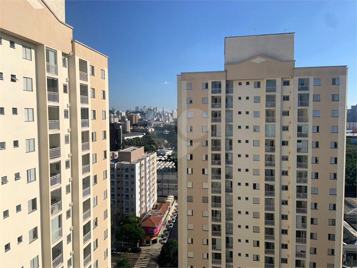 Foto REO1094495