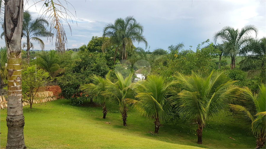 Foto REO1094498