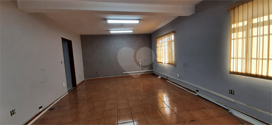 Foto REO1094521