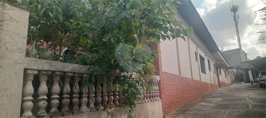 Foto REO1094545