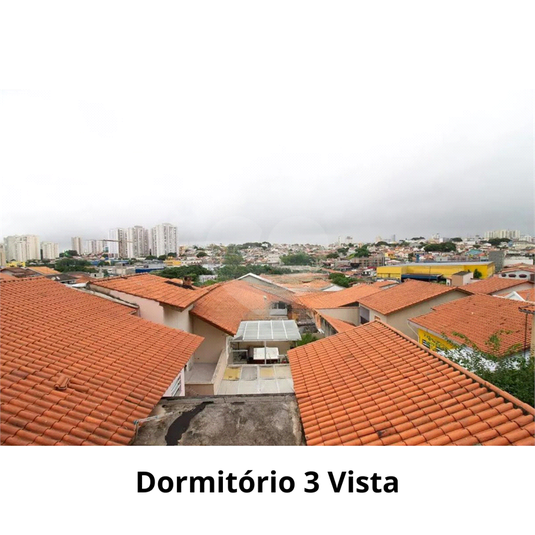 Foto REO1094546