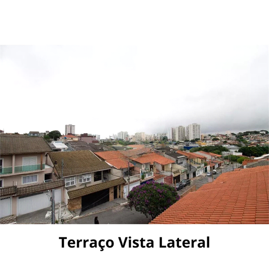 Foto REO1094546