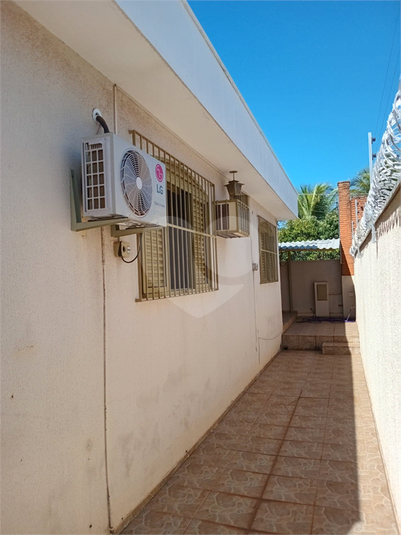 Foto REO1094547