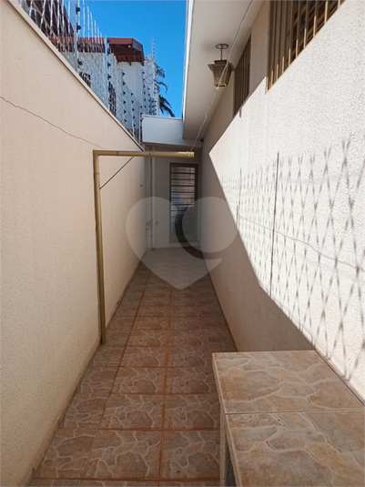 Foto REO1094547