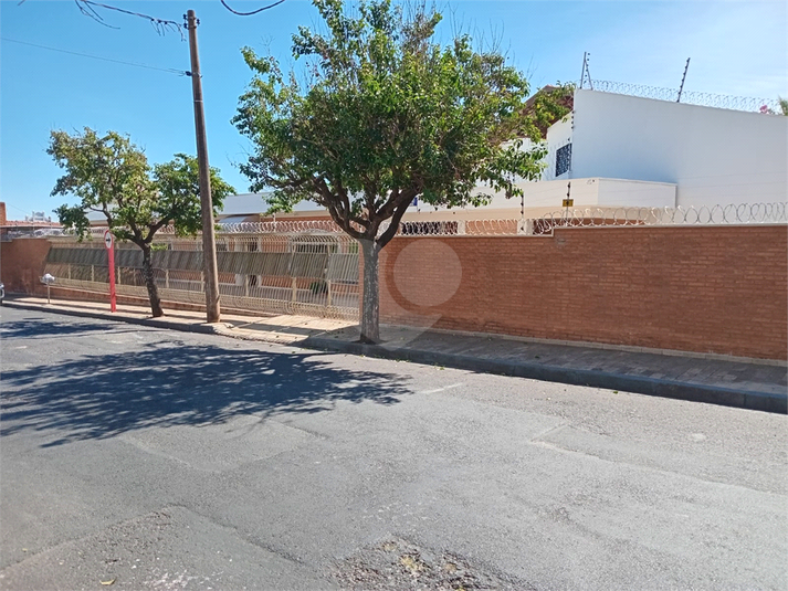 Foto REO1094547