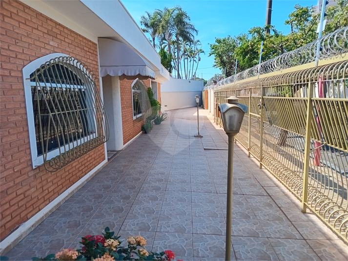 Foto REO1094547