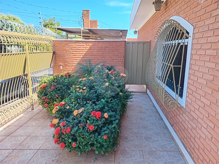 Foto REO1094547