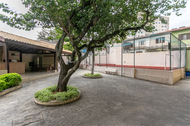 Foto REO1094556