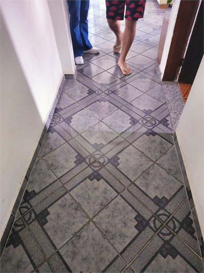 Foto REO1094562