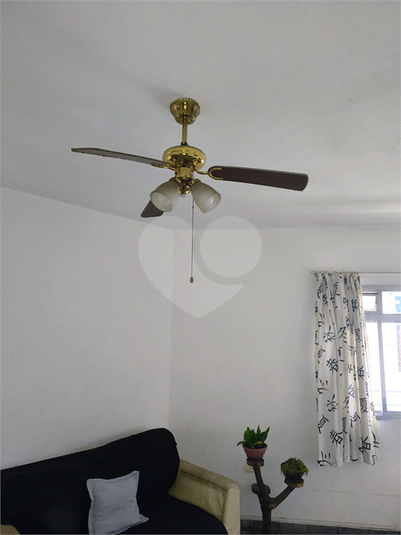 Foto REO1094562