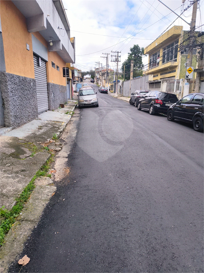 Foto REO1094562