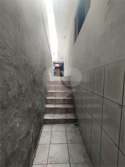 Foto REO1094566