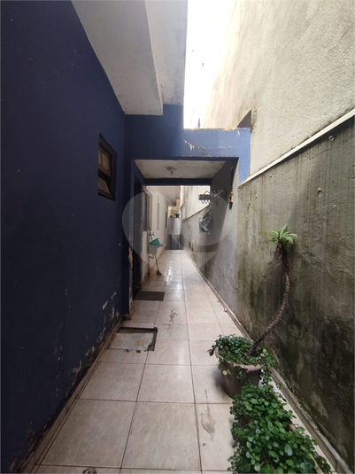 Foto REO1094566