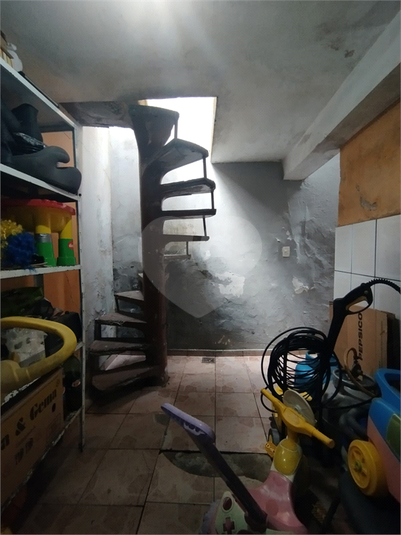 Foto REO1094566
