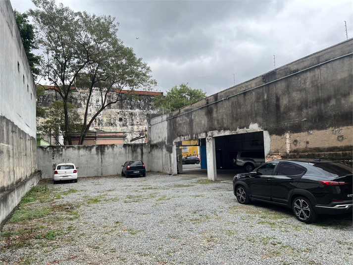 Foto REO1094588