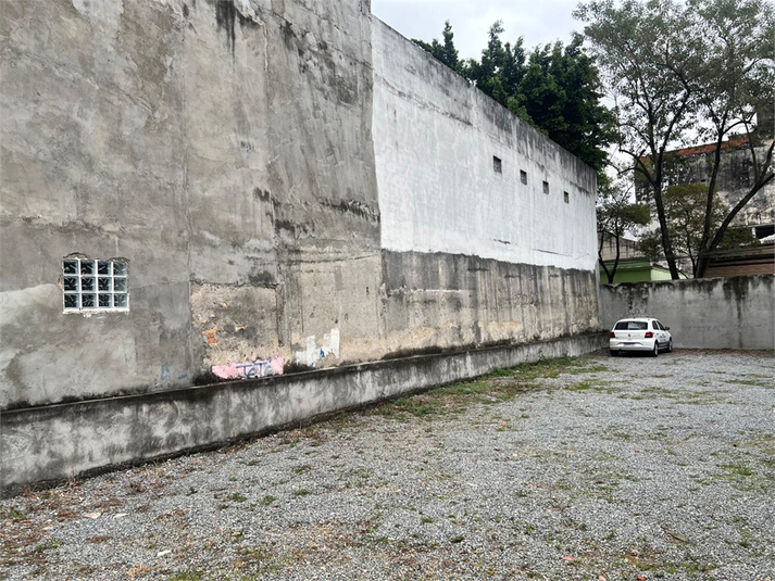 Foto REO1094588