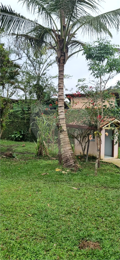 Foto REO1094595