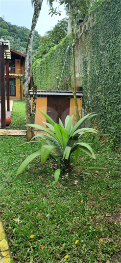 Foto REO1094595